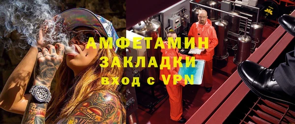 гидра Алексин