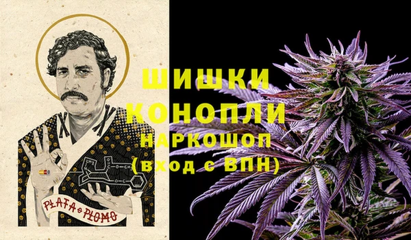 соль ск Рославль