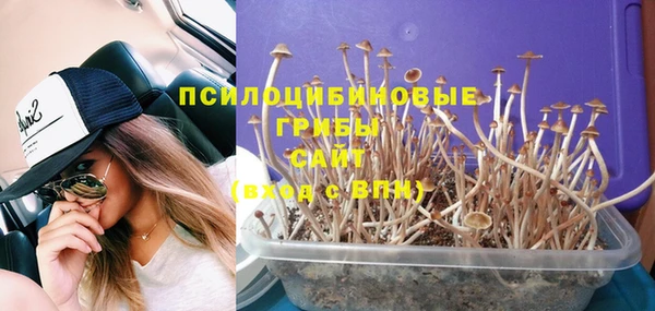 синтетический гашиш Алексеевка