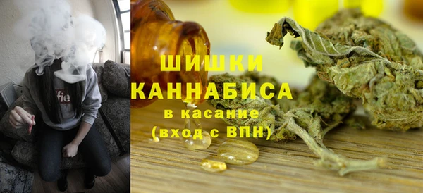 ПСИЛОЦИБИНОВЫЕ ГРИБЫ Алзамай