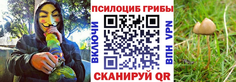 закладки  mega tor  Галлюциногенные грибы мухоморы  Ивангород 